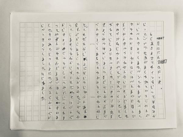 毎日の宿題例(日記、漢字・四字熟語)